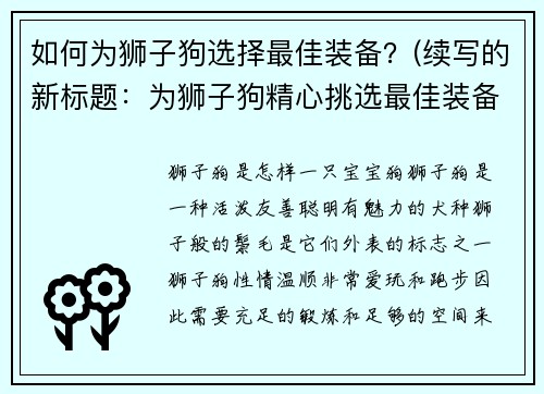如何为狮子狗选择最佳装备？(续写的新标题：为狮子狗精心挑选最佳装备攻略)